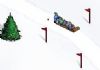 Snow Toboggan