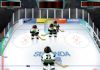 Sekonda Ice Hockey