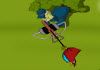 Birds Catcher