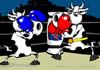 Cowfighter