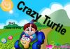 Crazy Turtle