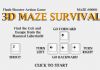 3D Maze Survival