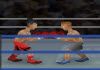 Side Ring Knockout