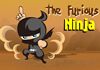 El Ninja Furioso